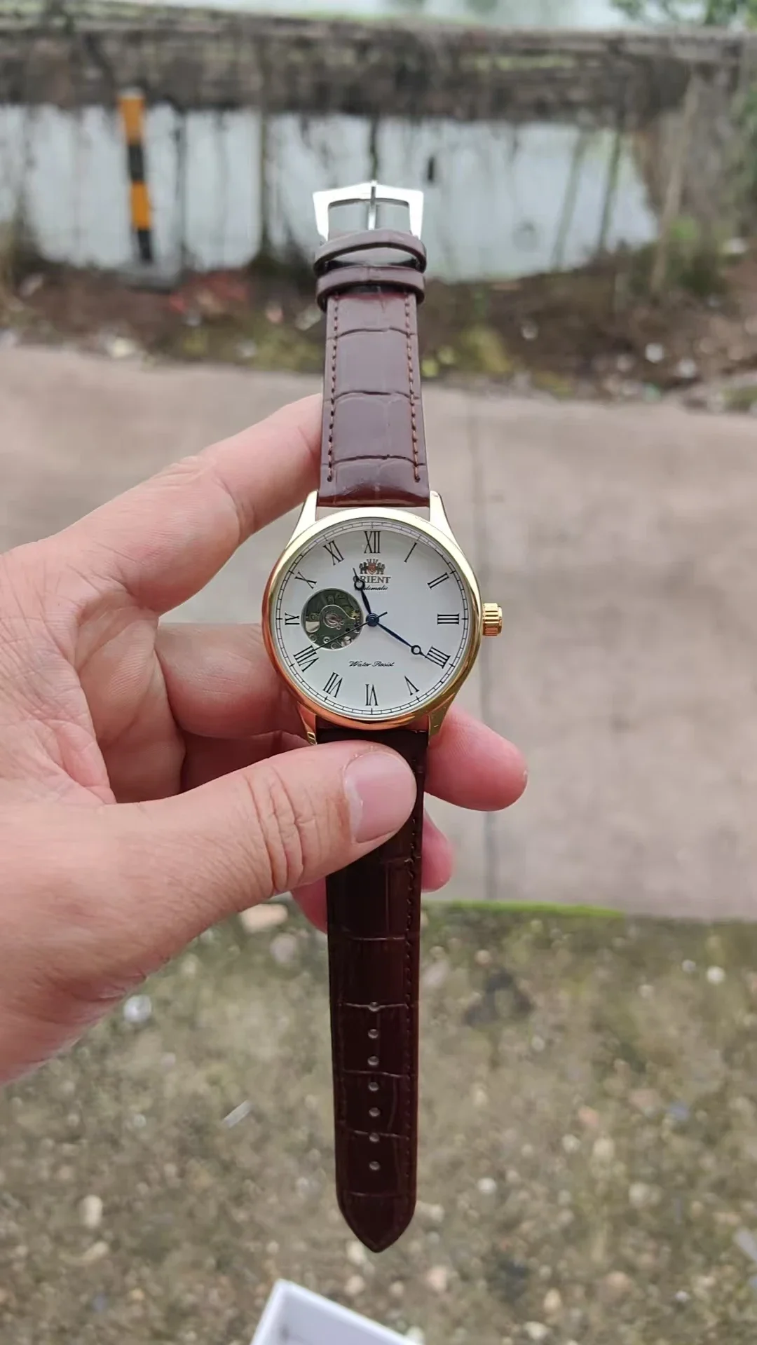 DFDG メカニカルスケルトンウォッチ、フル機能搭載、ワール - Seiko Watch Presage のレビューと価格