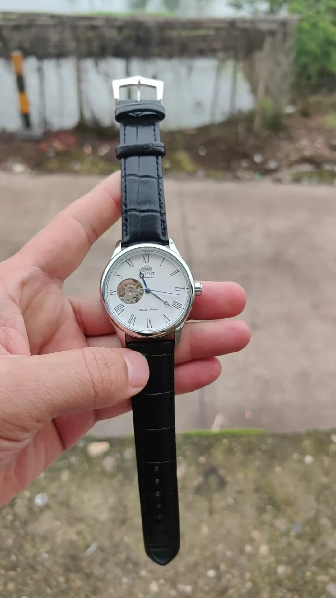 DFDG メカニカルスケルトンウォッチ、フル機能搭載、ワール - Seiko Watch Presage のレビューと価格